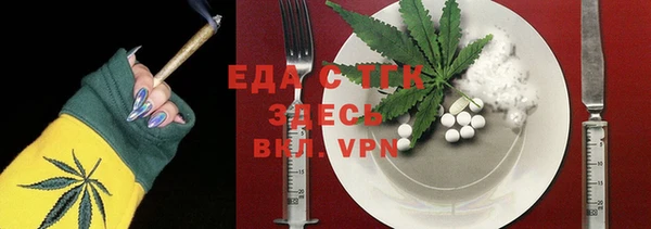 индика Осташков