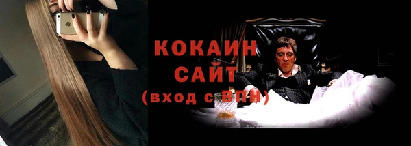 индика Осташков