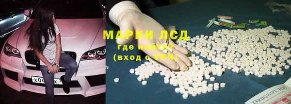 ГАЛЛЮЦИНОГЕННЫЕ ГРИБЫ Осинники