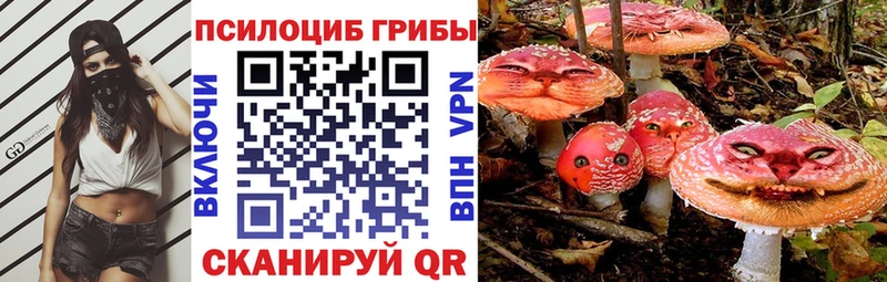 Купить  Ялуторовск  Галлюциногенные грибы Magic Shrooms 